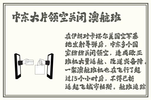 国产高清DVD